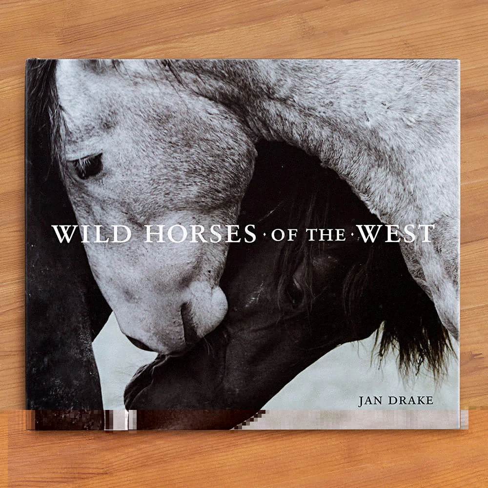 Wild Horses of The West | thissimplevideo